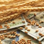 Wealthy Wheat Trader Review Is Wealthy Wheat Trader Scam?