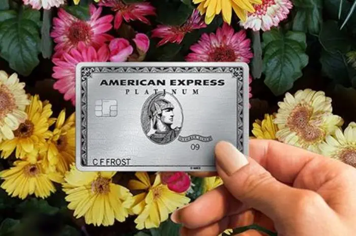 How to Get Preapproved for an American Express Credit Card