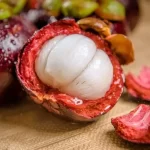 Health Benefits of Mangosteen